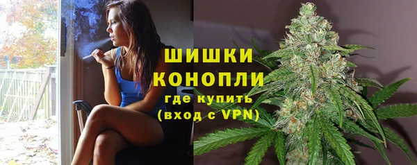 Альфа ПВП Богородск